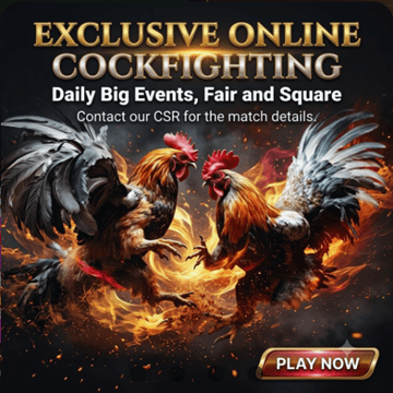daily matches and events