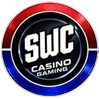 website logo